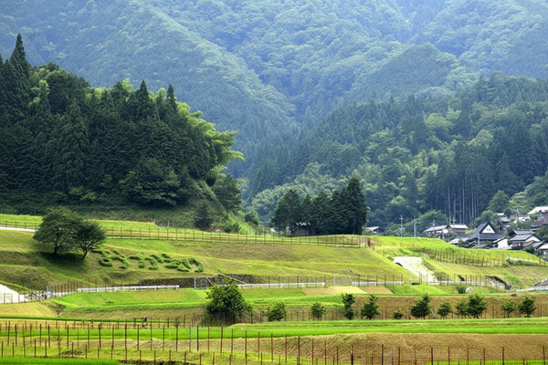 A Closer Look at a 100-Year-Old Vinegar Maker in Tajima