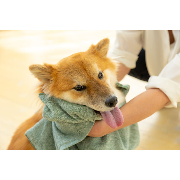 Jogan Pet Towel Super Absorbant Bath Towel for Pets Green 34×78cm