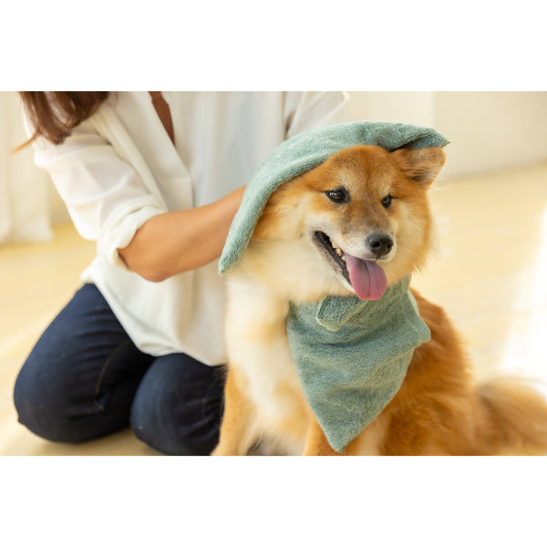 Jogan Pet Towel Super Absorbant Bath Towel for Pets Green 34×78cm