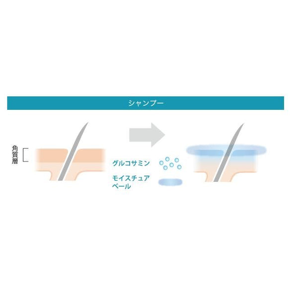 Aujua Gentle Aging Spa Shampoo Scalp Care Shampoo 500ml