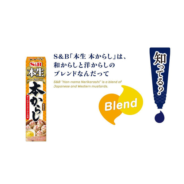 S&B Karashi Sauce Japanese Mustard Paste Tube 43g