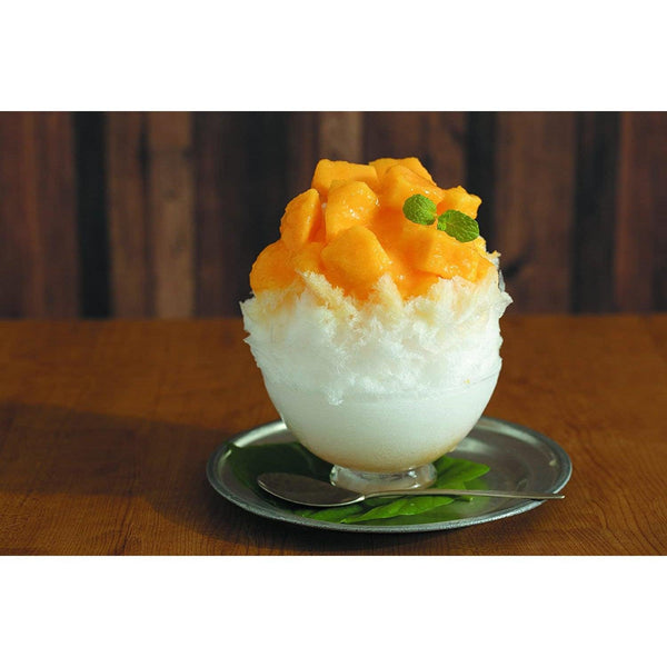 Ikenaga Recro Professional Kakigori Shaved Ice Maker (Snow Cone Machine) SI-8B