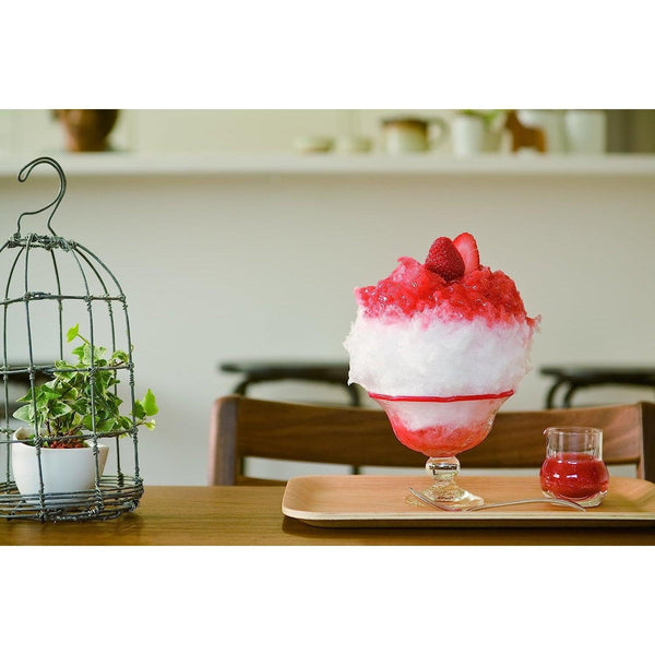 Ikenaga Recro Professional Kakigori Shaved Ice Maker (Snow Cone Machine) SI-8B