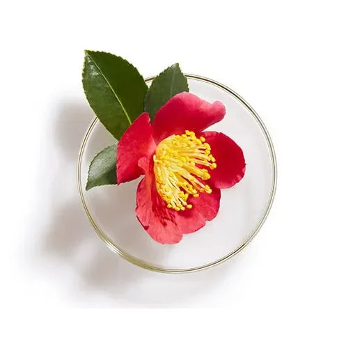 Tsubaki Conditioner Premium Moist & Repair Camellia Hair Conditioner 450ml