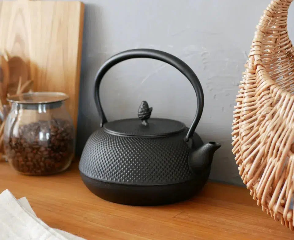 iwachu japanese cast iron kitchenware kettle