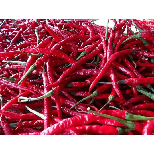 Imagawa Red Chili Pepper Spicy Vinegar 150ml