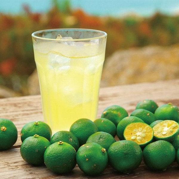 Shikuwasa Juice 100% Okinawa Lime Sour Citrus Juice 270ml